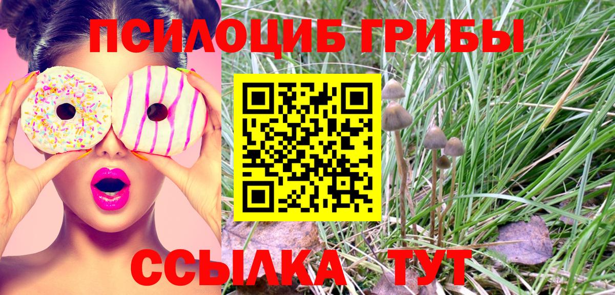 Галлюциногенные грибы GOLDEN TEACHER  Вход с VPN  Бирск  Галлюциногенные грибы GOLDEN TEACHER 